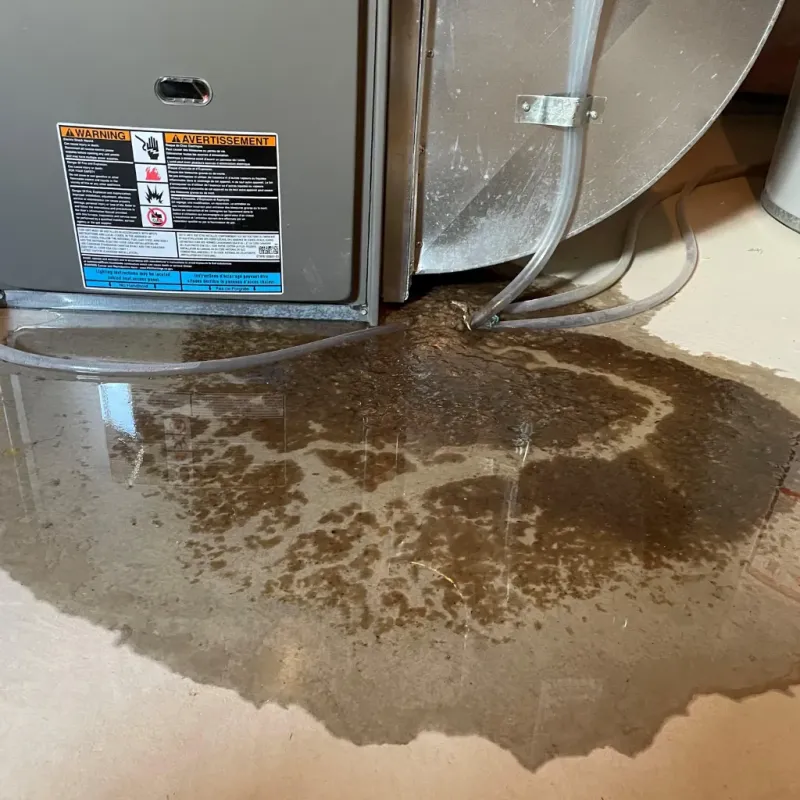 Appliance Leak Cleanup in Oldsmar, FL